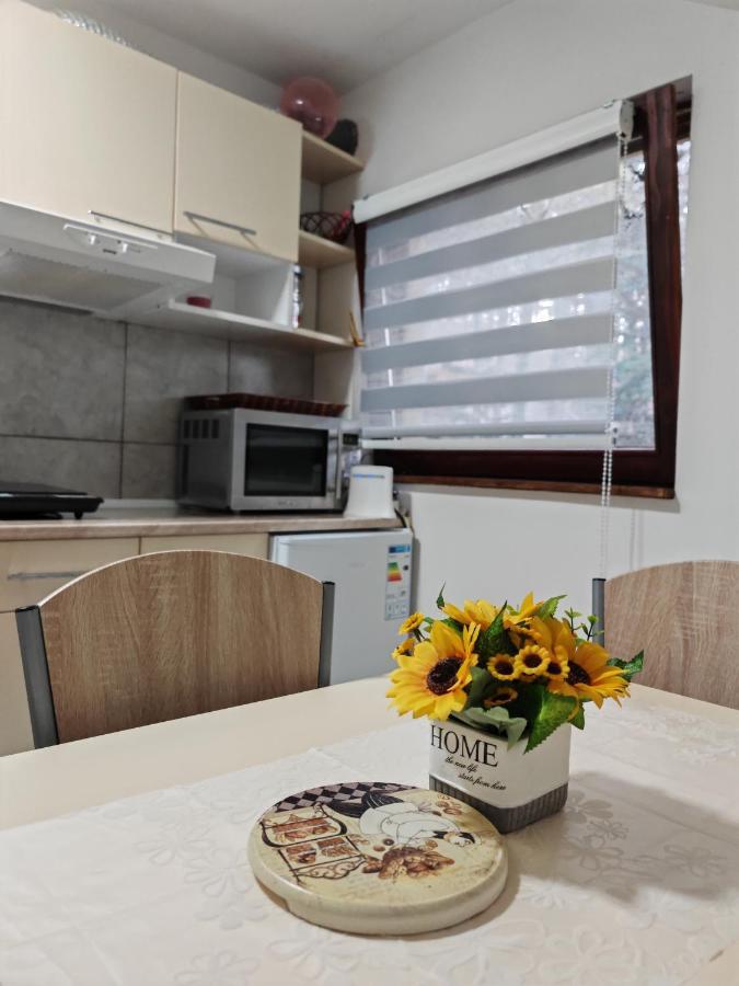 Apartmani Todorovic Vinci Exterior foto